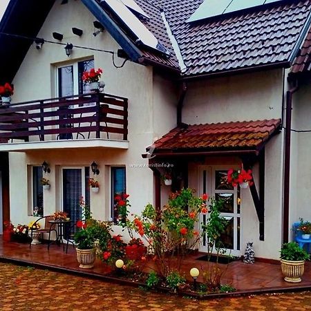 Edelweiss Ilinca Apartamento Zărneşti Exterior foto