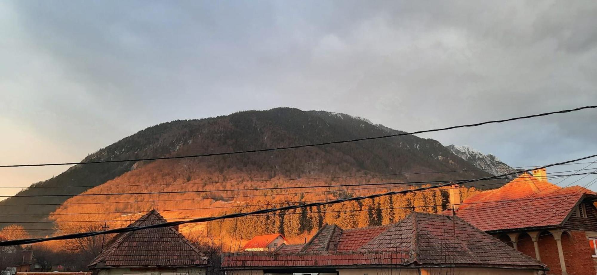 Edelweiss Ilinca Apartamento Zărneşti Exterior foto