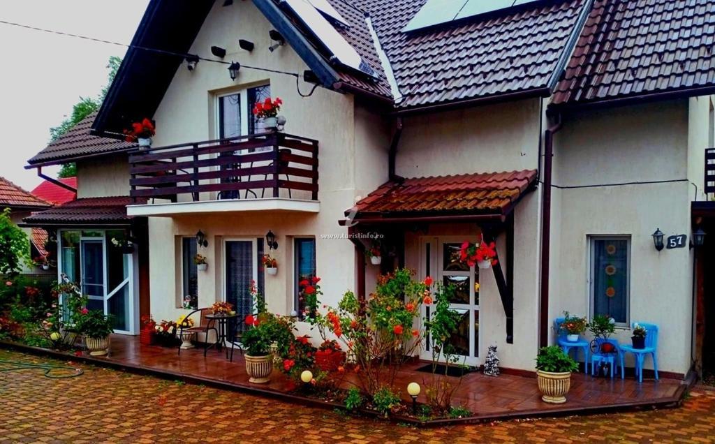 Edelweiss Ilinca Apartamento Zărneşti Exterior foto