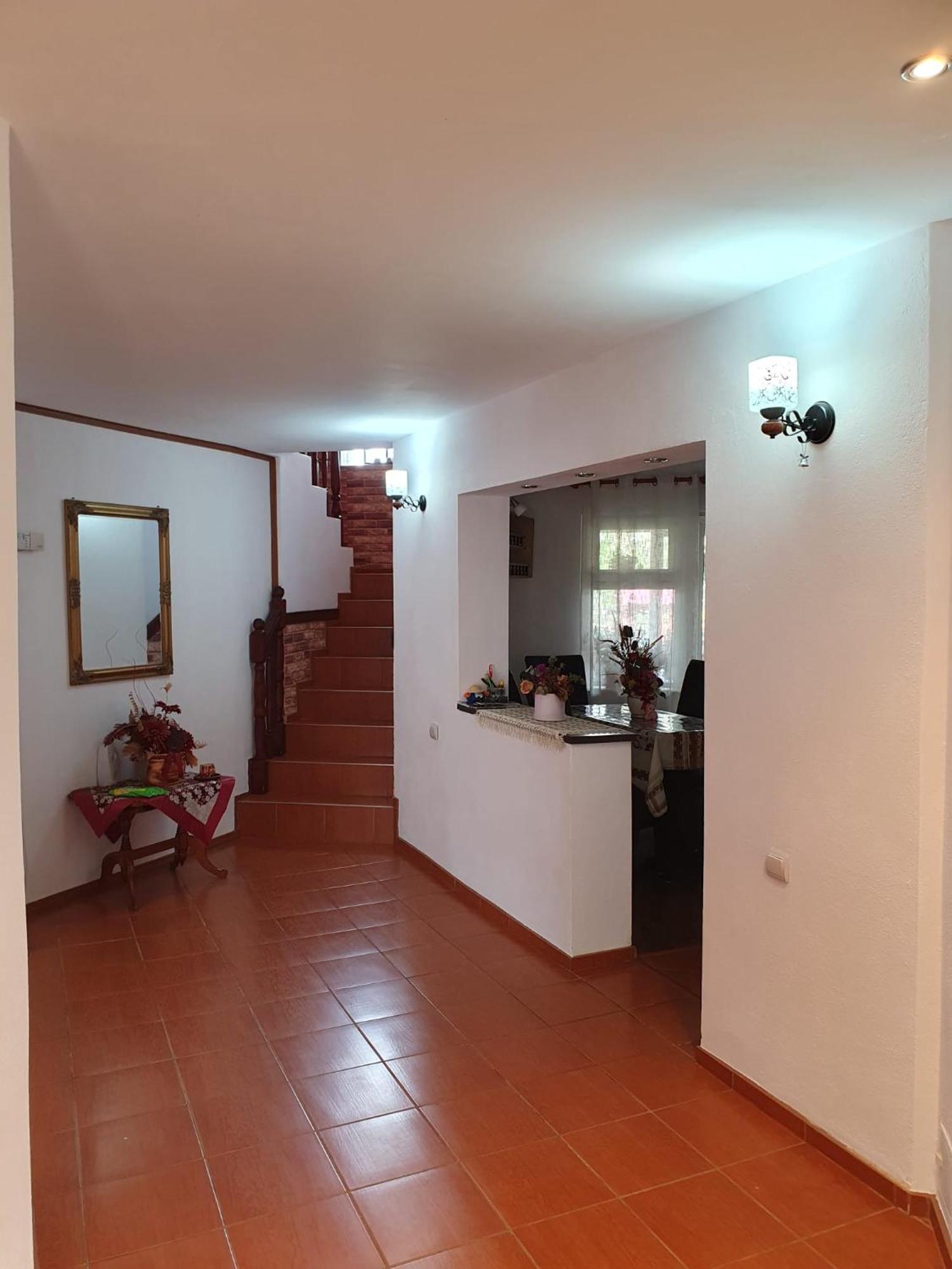 Edelweiss Ilinca Apartamento Zărneşti Exterior foto