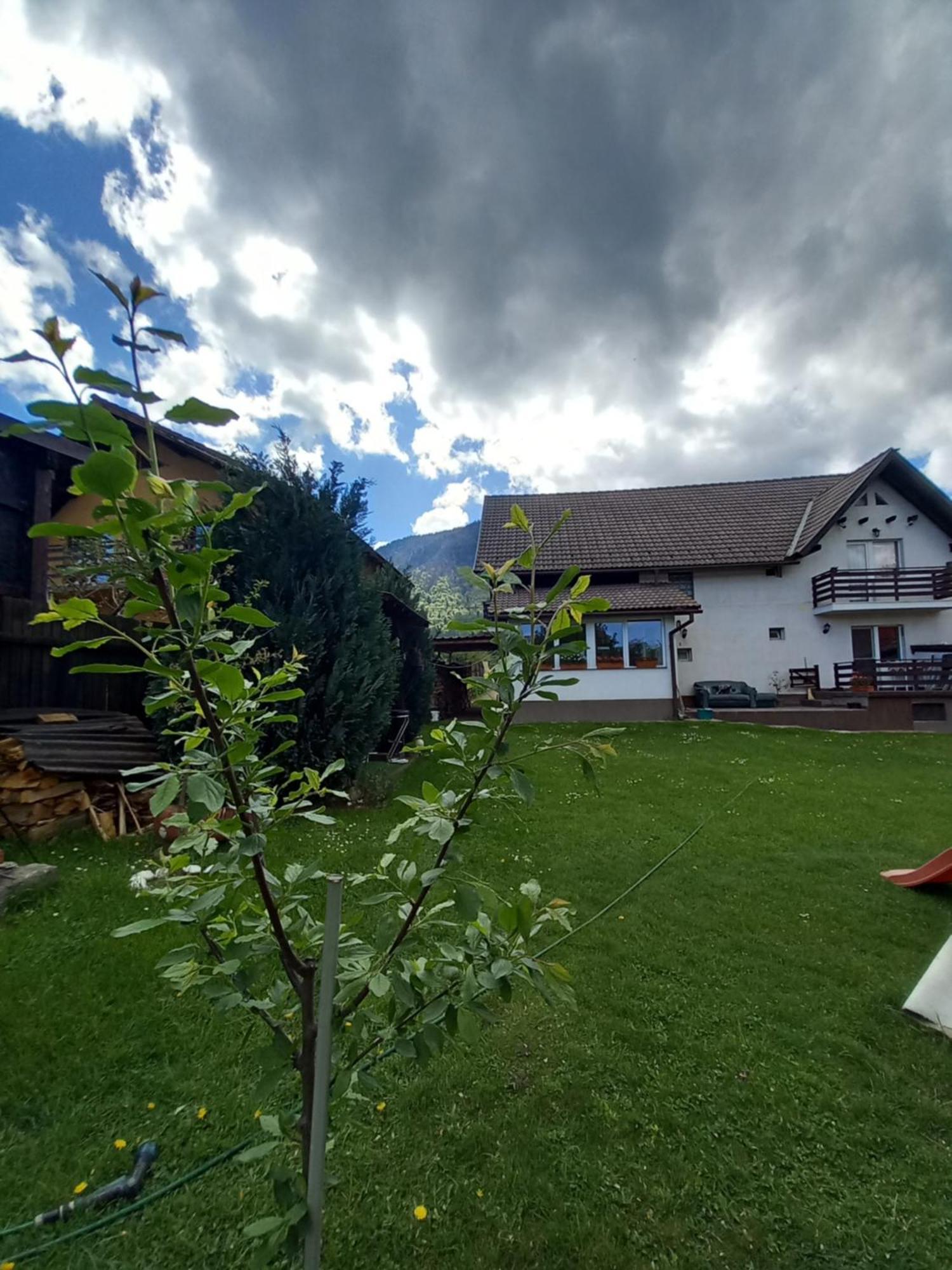 Edelweiss Ilinca Apartamento Zărneşti Exterior foto