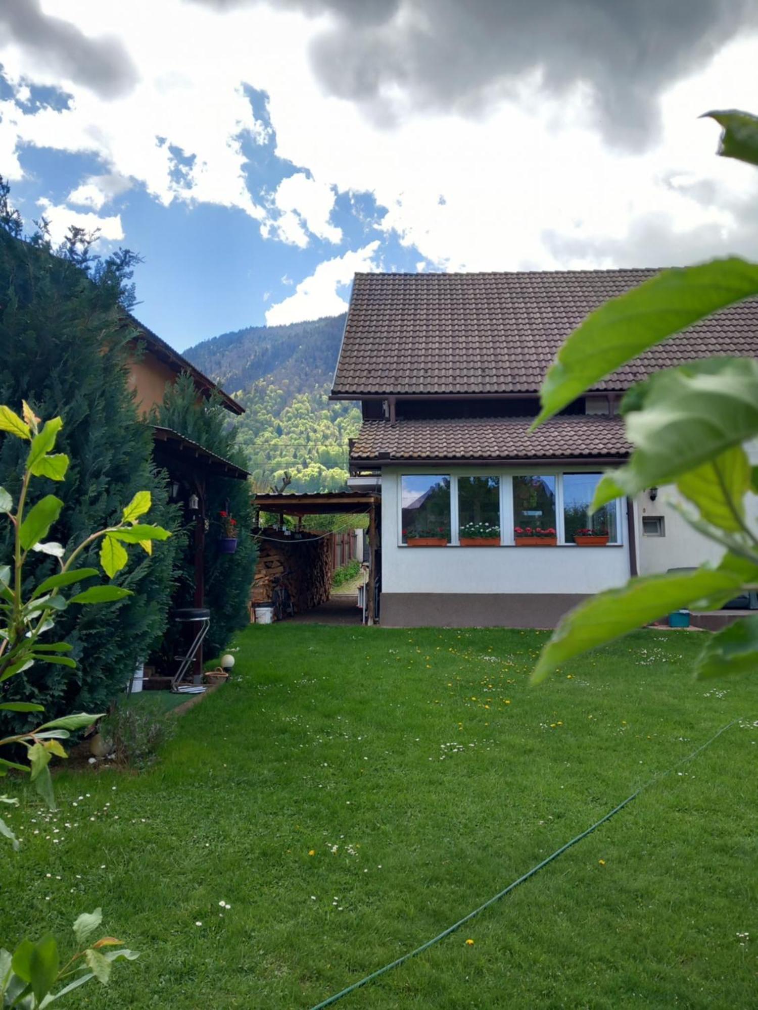 Edelweiss Ilinca Apartamento Zărneşti Exterior foto