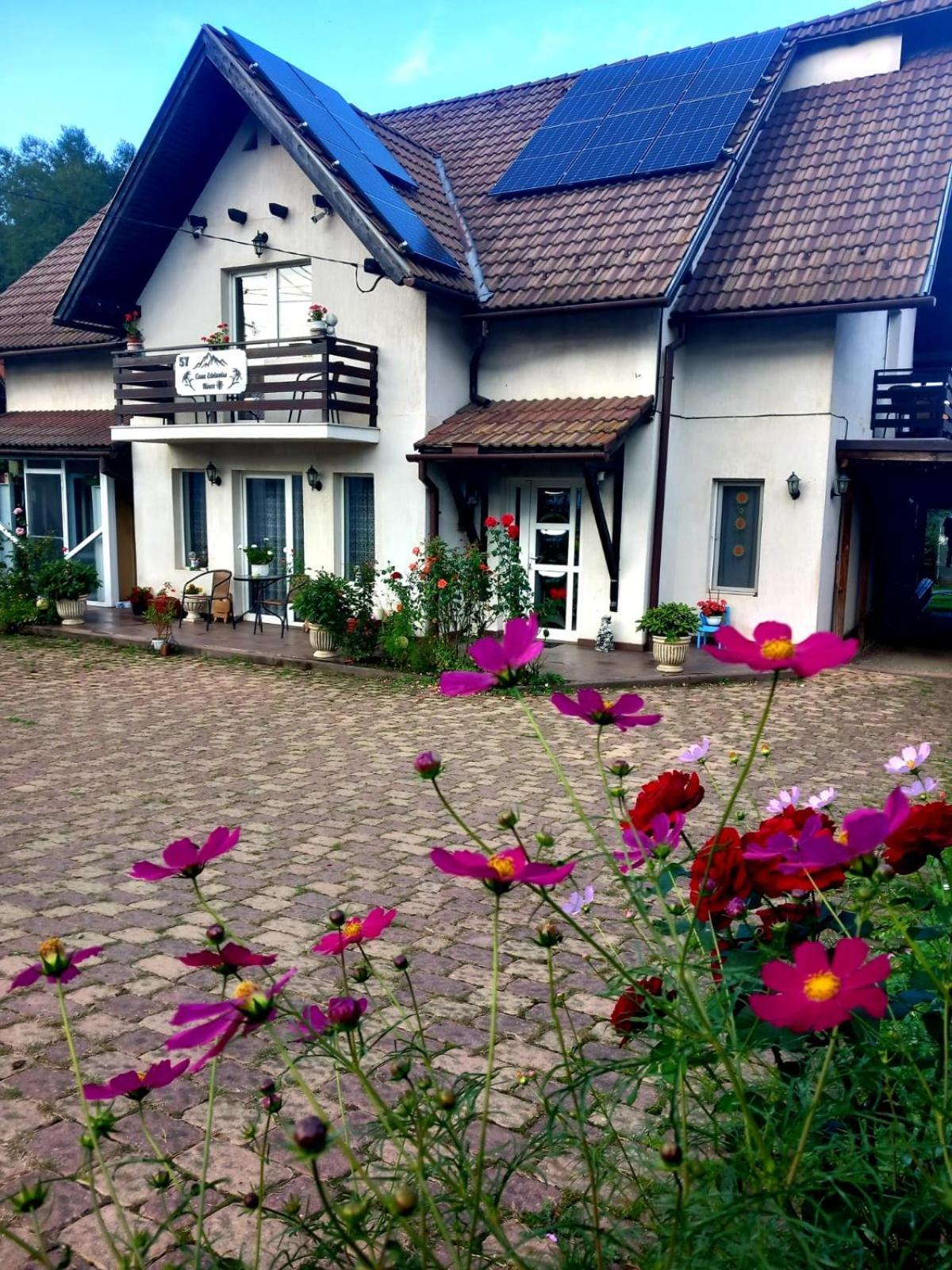 Edelweiss Ilinca Apartamento Zărneşti Exterior foto